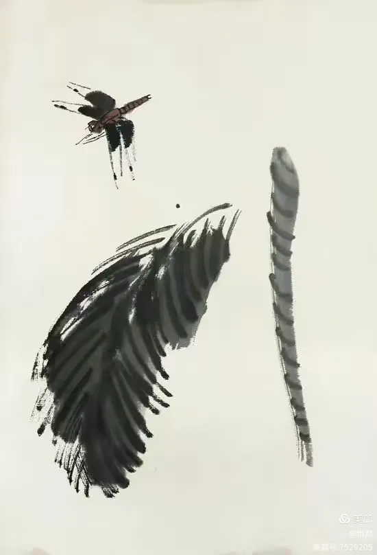 零基础 如何画好国画蜻蜓